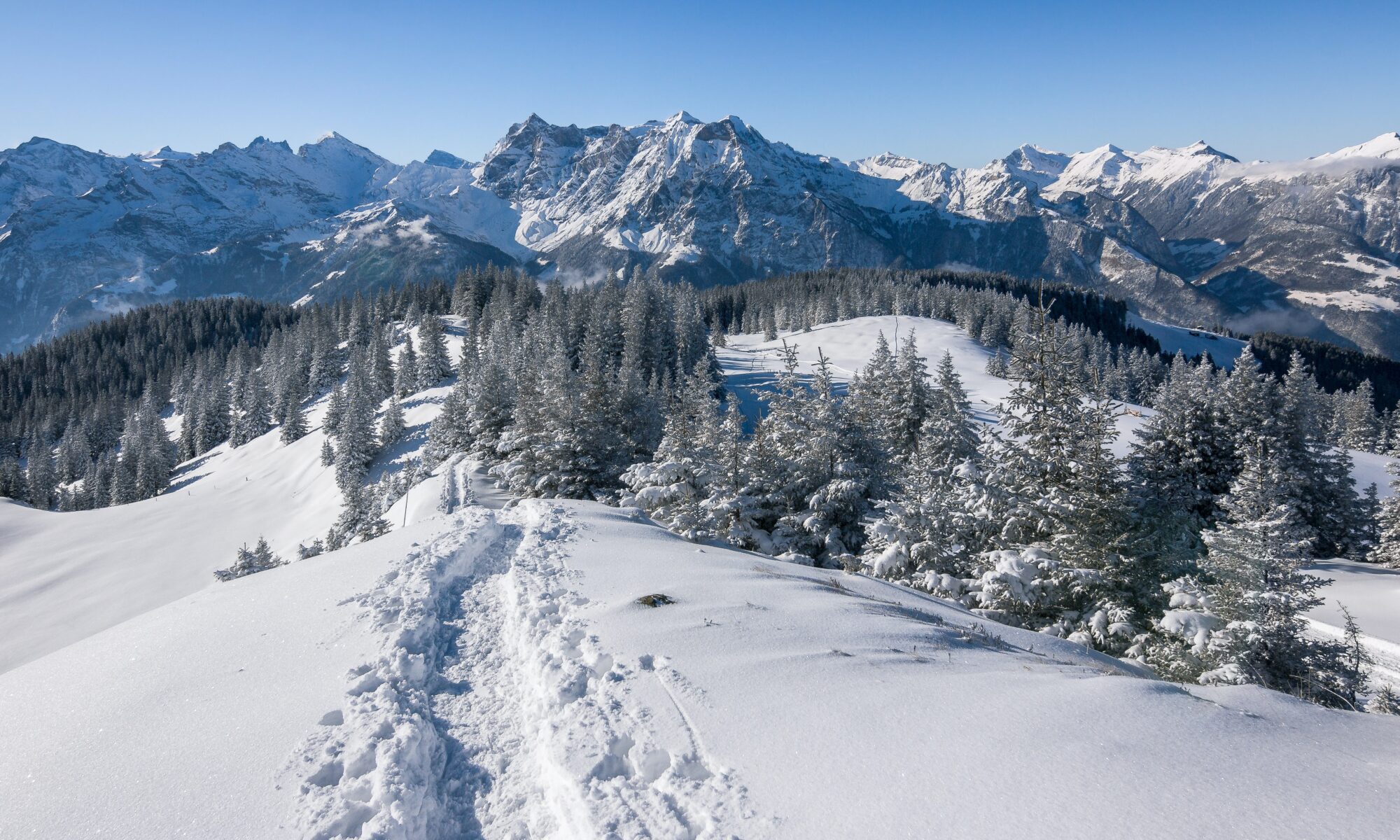 Traduzioni professionali a Schattdorf